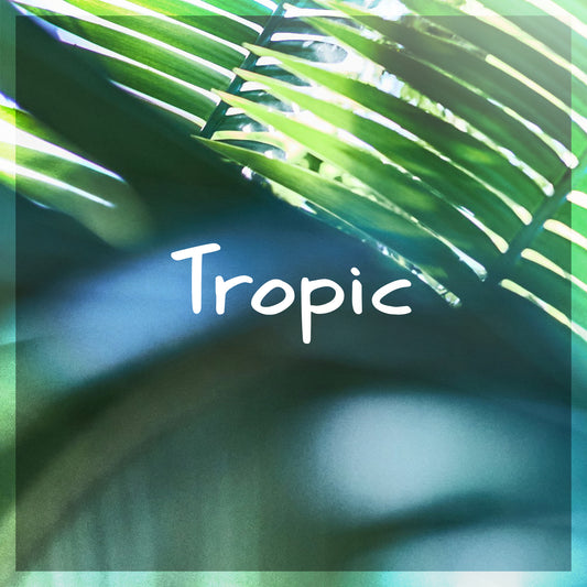 'MBB - Tropic' License