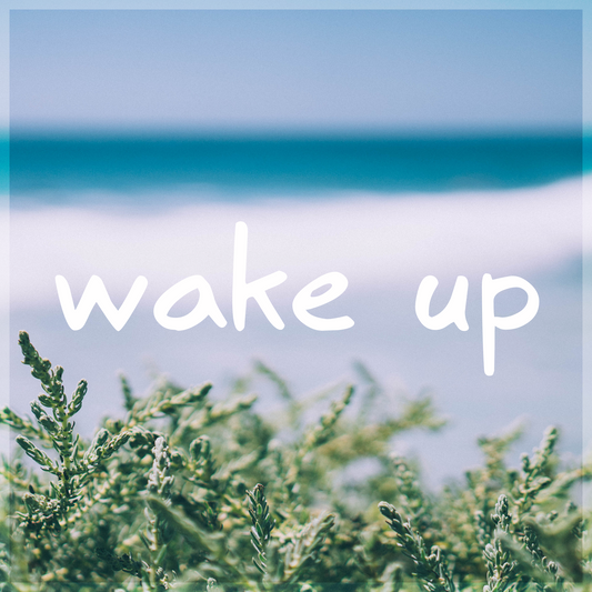 'MBB - Wake Up' Licence