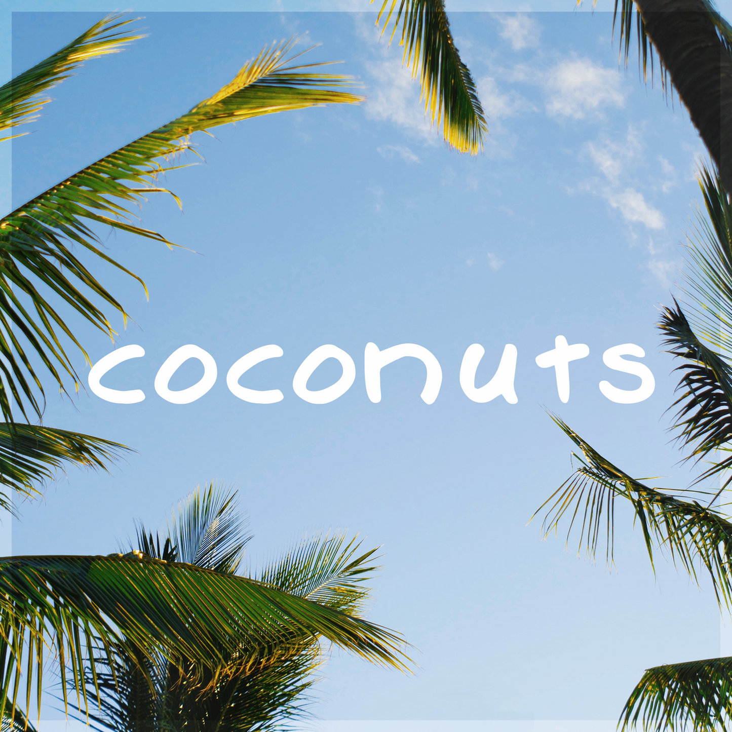 'MBB - Coconuts' Licence